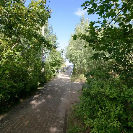 App-18 Dueneneck By Interhome Apartment Zempin